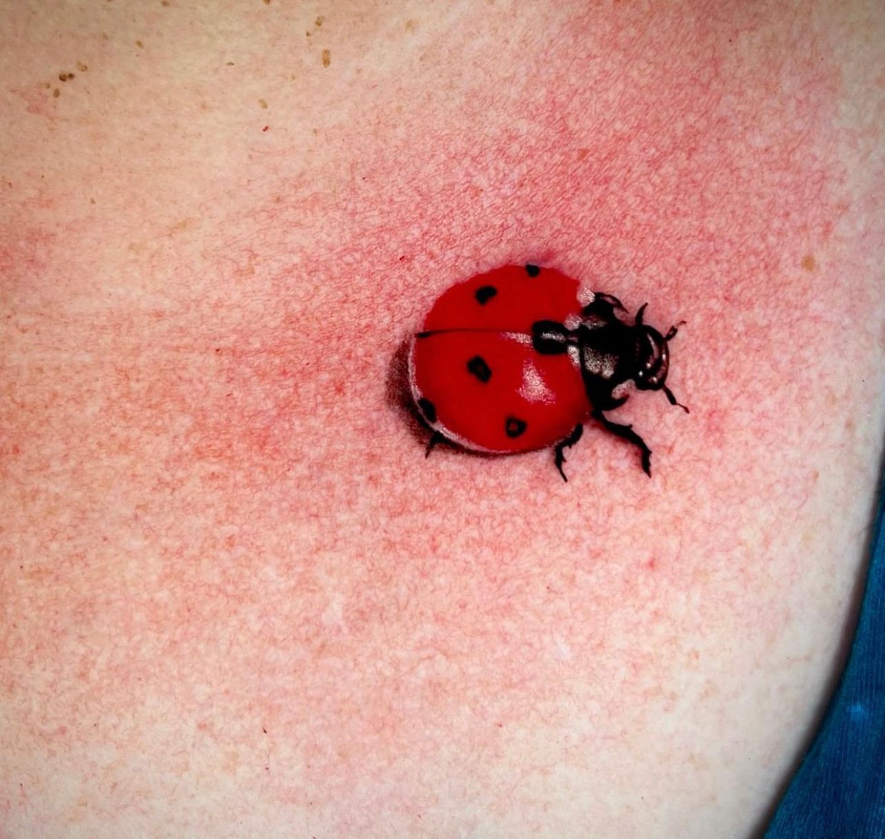 Ladybug Tattoo: Designs That Inspire and Bring Fortune [50+ Ideas] —  InkMatch