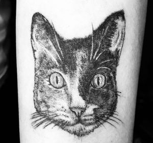 Cat@ Fokink Tattoo