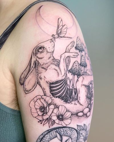 Rabbit and dragonfly 