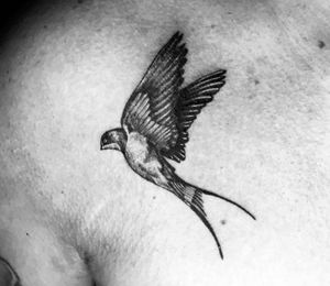 Sparrow@ Fokink Tattoo 