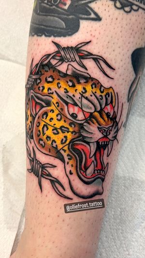 Colour leopard head with barbed wire