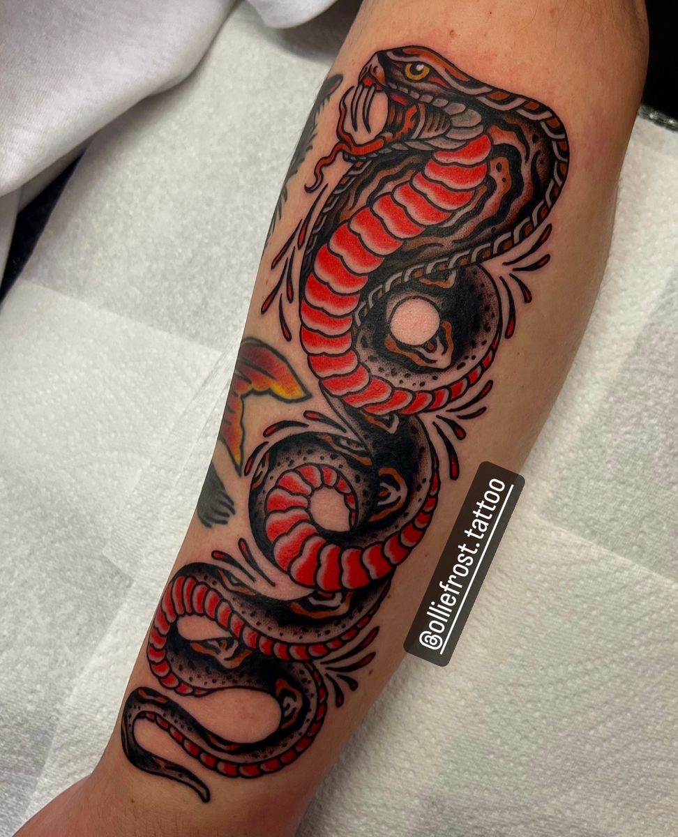 Tattoo uploaded by Ollie Frost • Colour trad cobra • Tattoodo