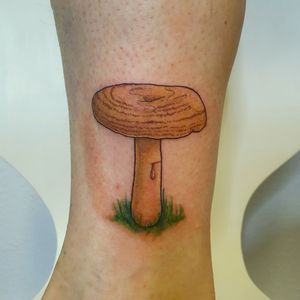 Colorful mushroom tattoo, neotraditional, illustrative