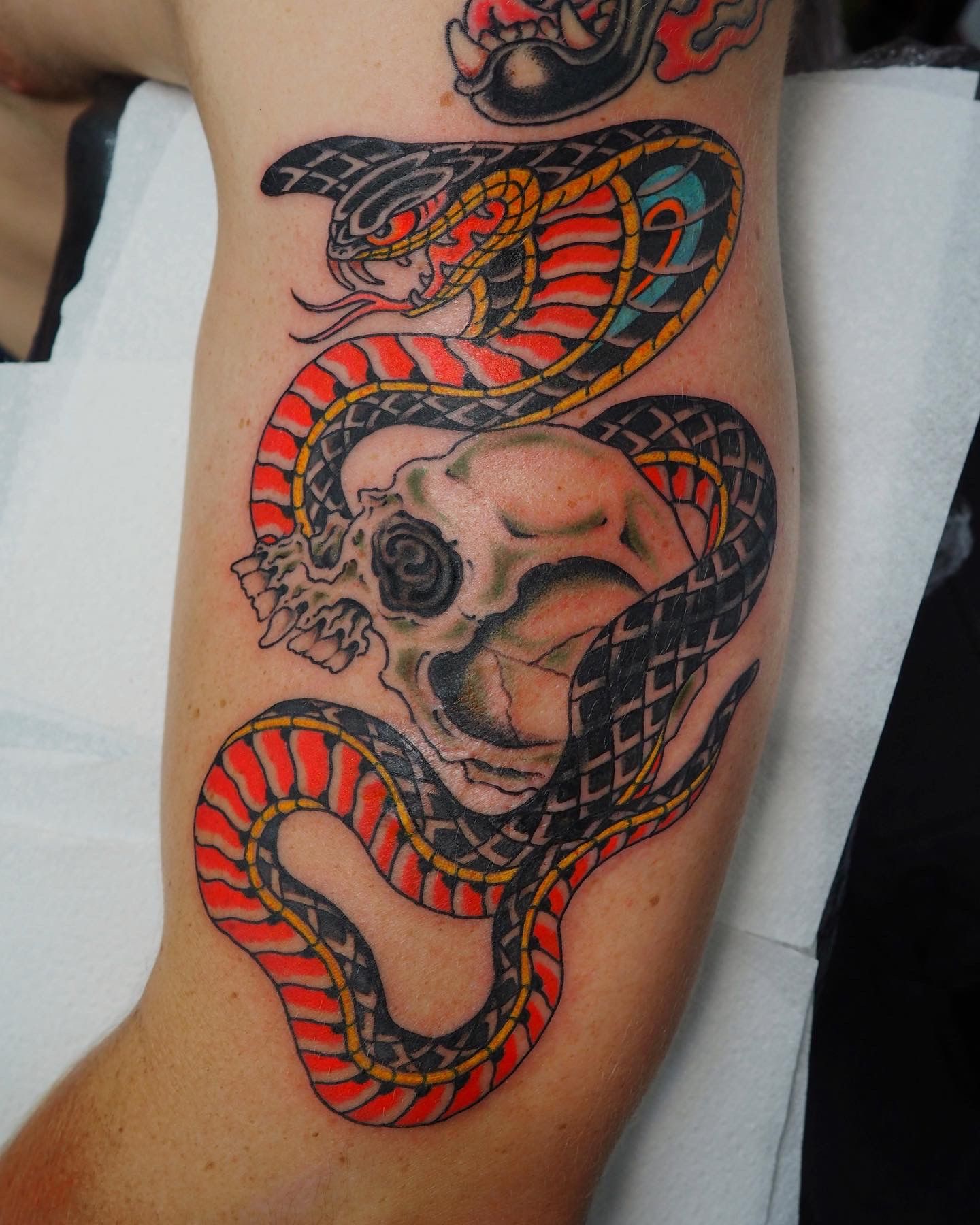 LONE STAR TATTOO-Dallas,Texas - Traditional cobra and skull by @waylon.tx -  Waylon has tons of sweet traditional pre-drawn designs available up here at  the shop and they're goin fast so swing by