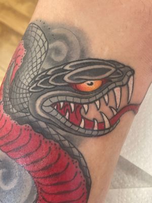 Coverup. Thankyou @fudochin !
Some fresh some healed 
Dm of you need a coverup 
Taking bookings at @lifestooshort.studio and @limerick_tattoo_convention 
#snaketattoo #snaketattoos #japanesesnake #japanesetattoo #irezumi #irezumitattoo #traditionaltattoo #dublintattoo #dublintattoos #dublintattooartist 