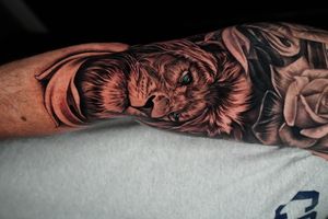 Lion black and grey 
