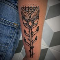 #Ornamental #Floral