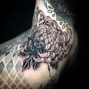 Elegant black and gray chrysanthemum flower tattoo by Matthew Ono, blending beauty and nature on your arm.
