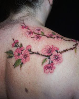 Experience the delicate beauty of cherry blossoms with this stunning watercolor design by Aygul. Perfect for the upper back.