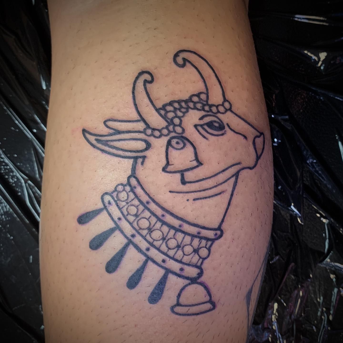Nandi Cow tattoo by Kirk Budden inked on the left ankle | Cow tattoo,  Tattoos, Warrior tattoos