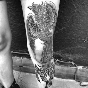 Elegant black and gray phoenix tattoo on the knee done by the talented artist Matthew Ono