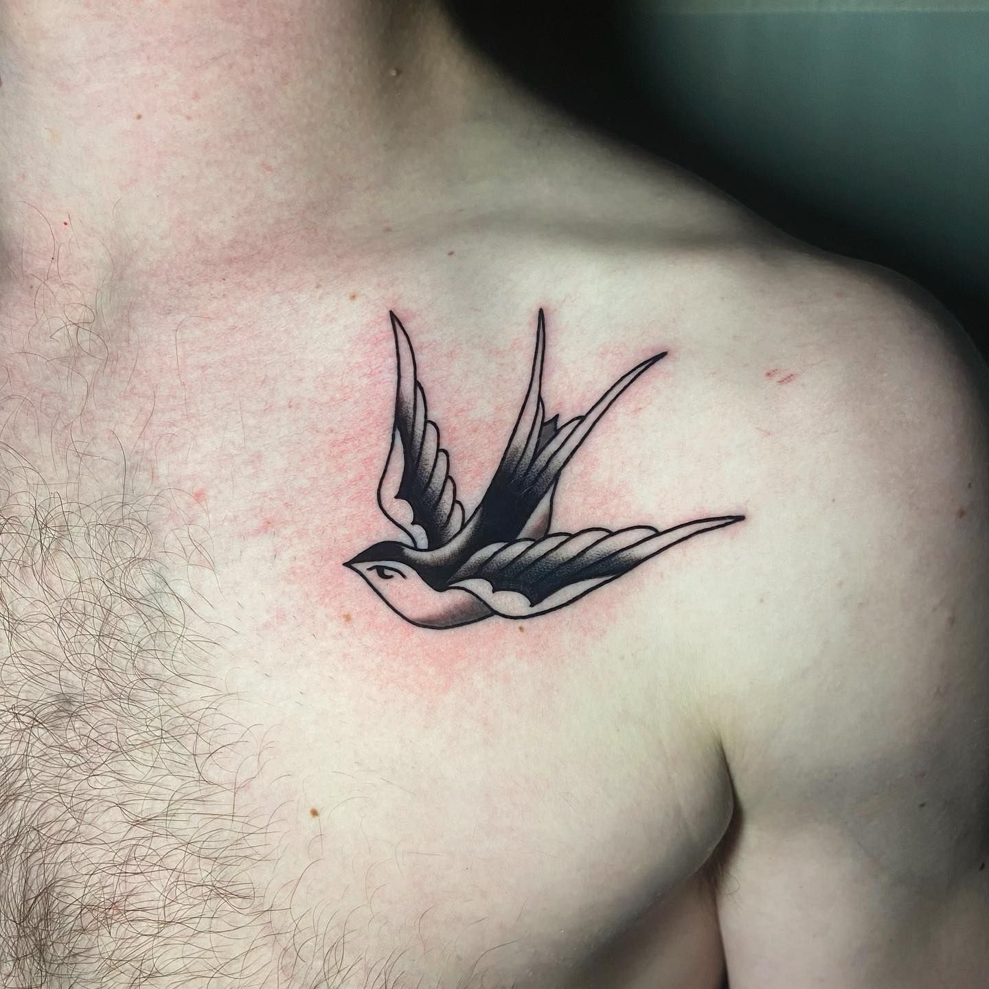 bird tattoos across back