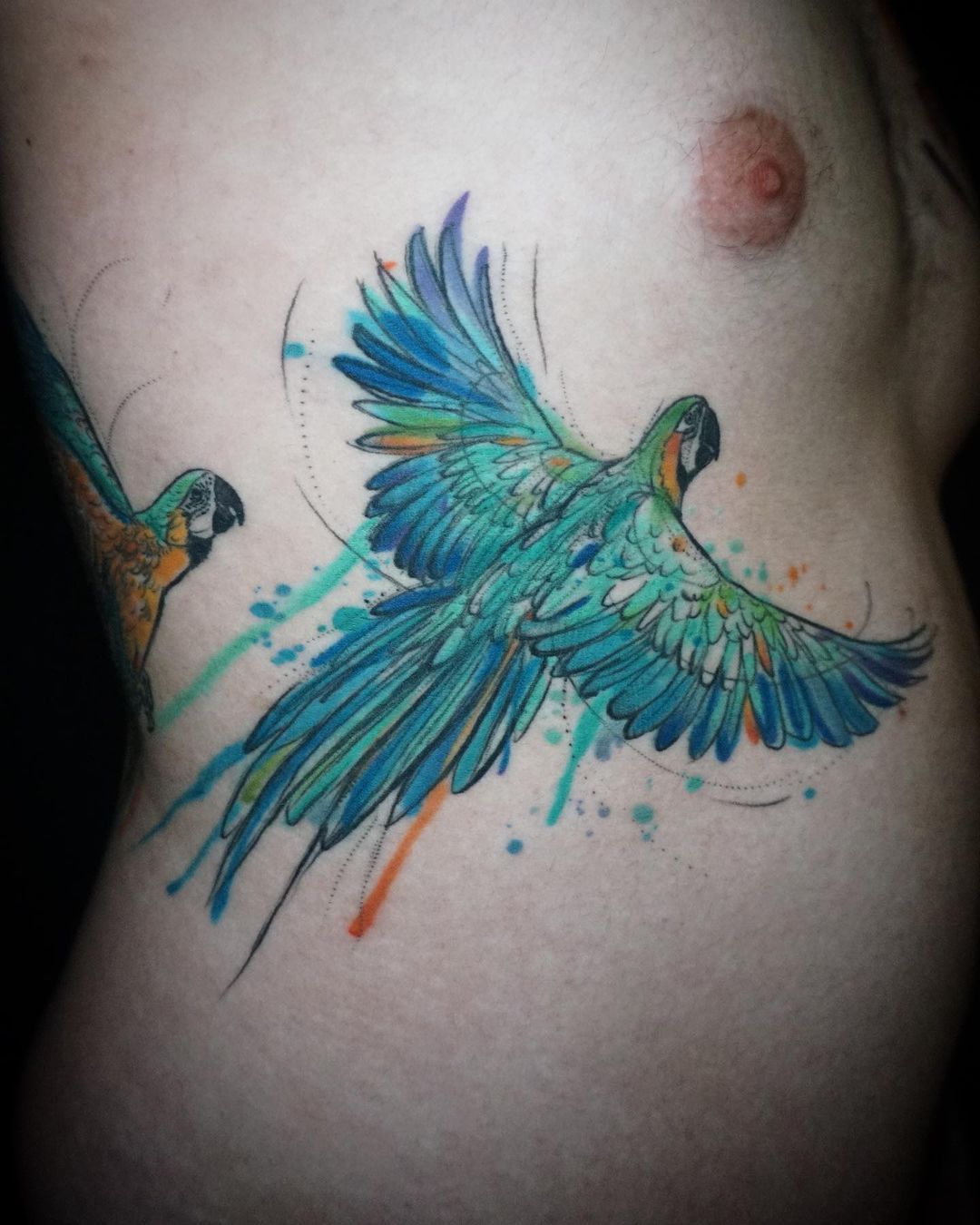 30 Adorable Parrot Tattoo Designs You will Love | Art and Design | Parrot  tattoo, Tattoo designs, Picture tattoos