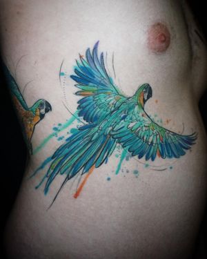 Aygul's stunning watercolor tattoo features a whimsical parrot in sketchwork style, beautifully placed on the ribs.