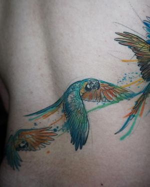 Aygul's stunning watercolor tattoo of a colorful parrot. The sketchwork details bring this bird to life on your back.