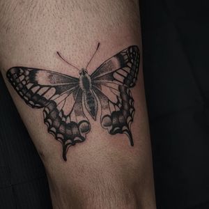 Experience the artistry of Luca Salzano with this stunning black and gray butterfly tattoo on your upper leg. Embrace elegance and beauty.