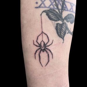 A stunning black and gray spider tattoo on the upper arm, expertly done by the talented artist, Letitia Mortimer.