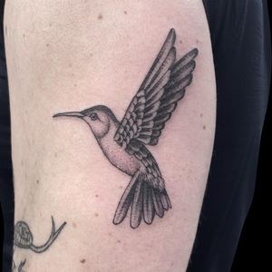 Elegant black and gray hummingbird design on upper arm by talented artist Letitia Mortimer. Perfect for nature lovers.