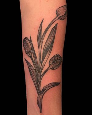Unique blackwork flower design by Kiko Lopes, perfect for a bold forearm statement. Get inspired by this stunning illustrative piece!
