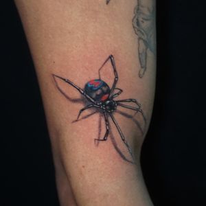 Capture the intricate details of a spider in stunning realism, beautifully rendered by Aygul on your upper leg.