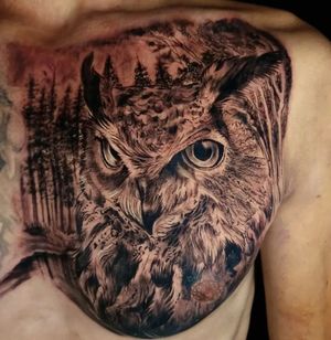 Stunning black and gray tattoo by Mauro Imperatori featuring a detailed owl perched on a tree, perfect for chest placement.