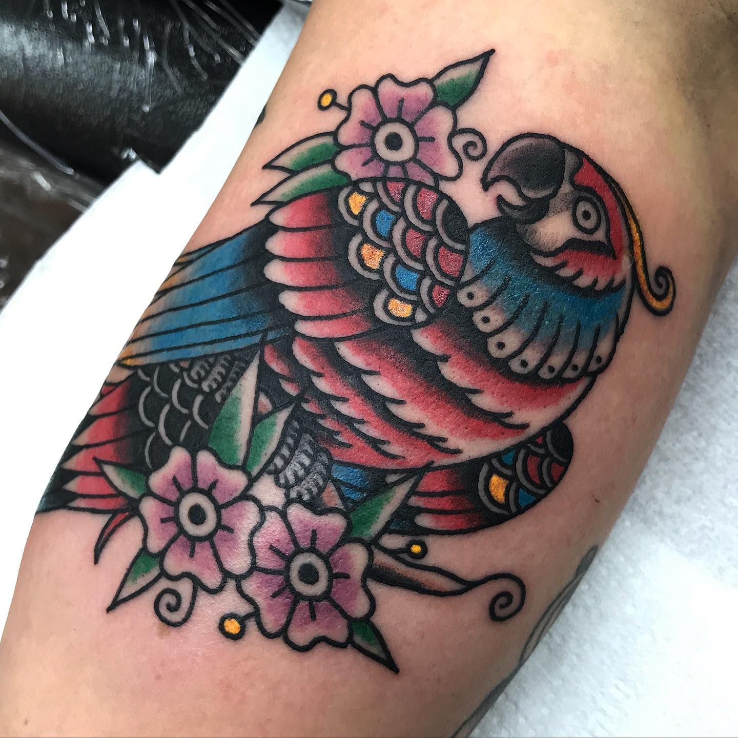Sailor Jerry Parrot  Traditional tattoo bird Parrot tattoo Upper arm  tattoos