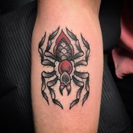 Spider