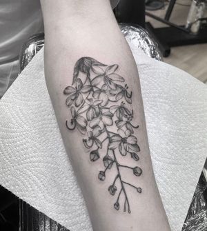 Cassia Fistula Linn (Ratchaphruek) tattoo I had done in southampton. Being born in Thailand I thought the Thai national flower would be a good first tattoo to get. Thanks to @fruitbattatts on Instagram for doing it for me.