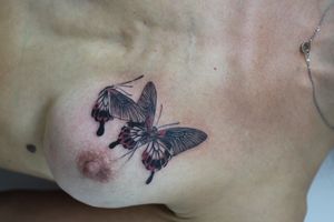 Butterflies by Nikole