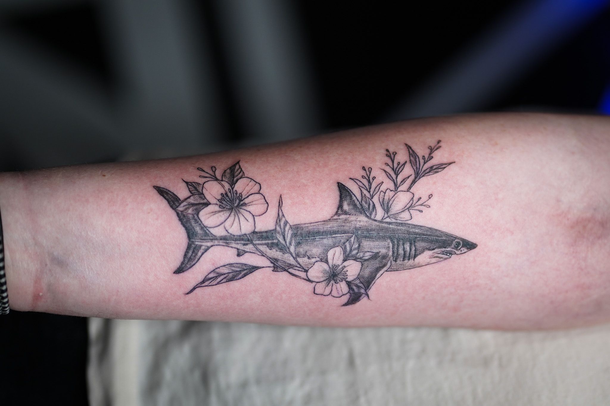 Top 100 Best Shark Tattoos For Women  Finned Design Ideas