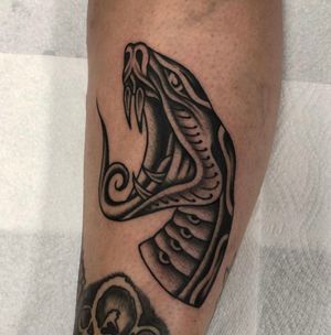 Snake head 