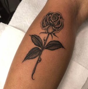Fine line rose 