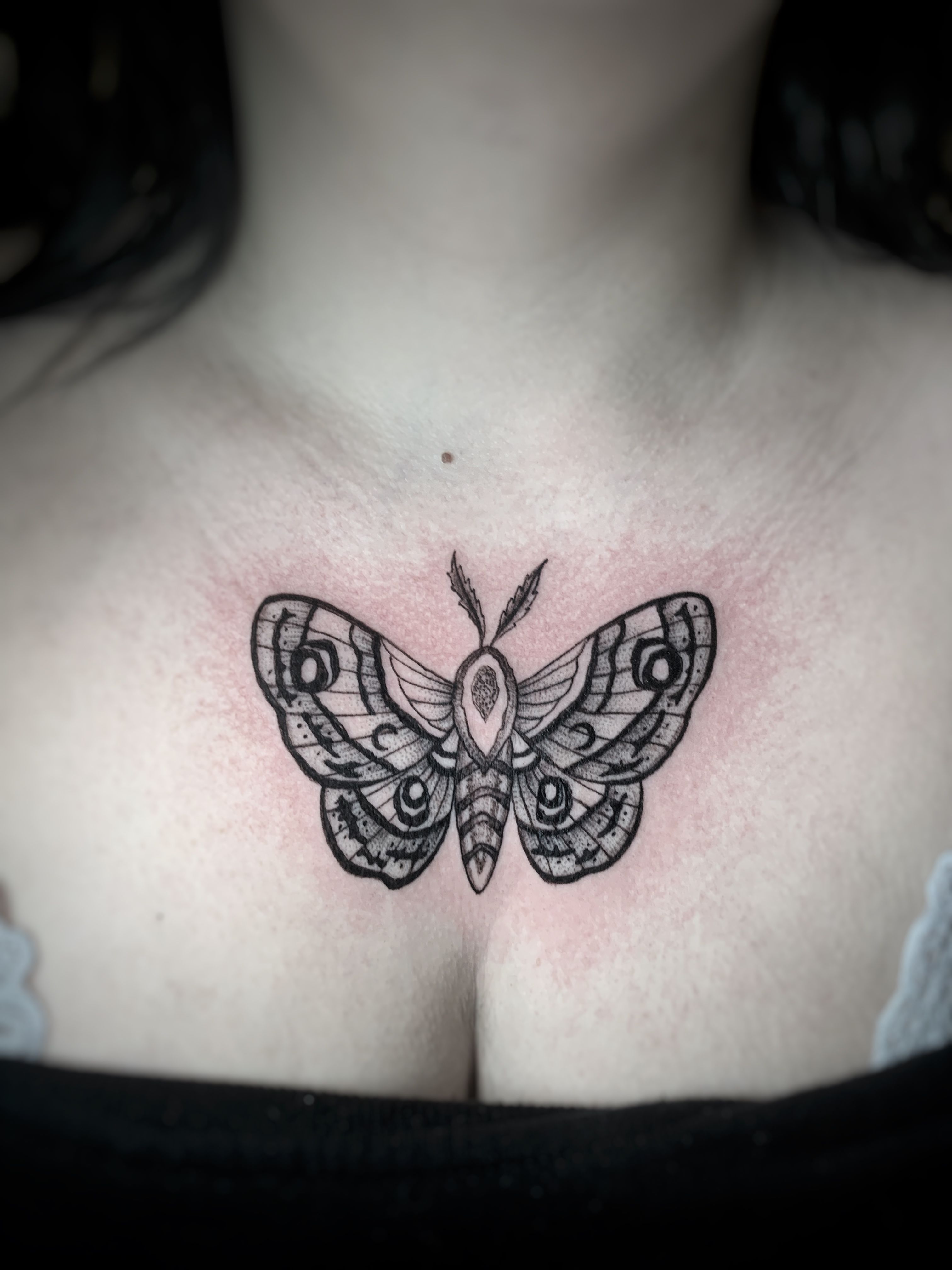 Ornamental Moth | Vault Tattoo: Charlotte, NC