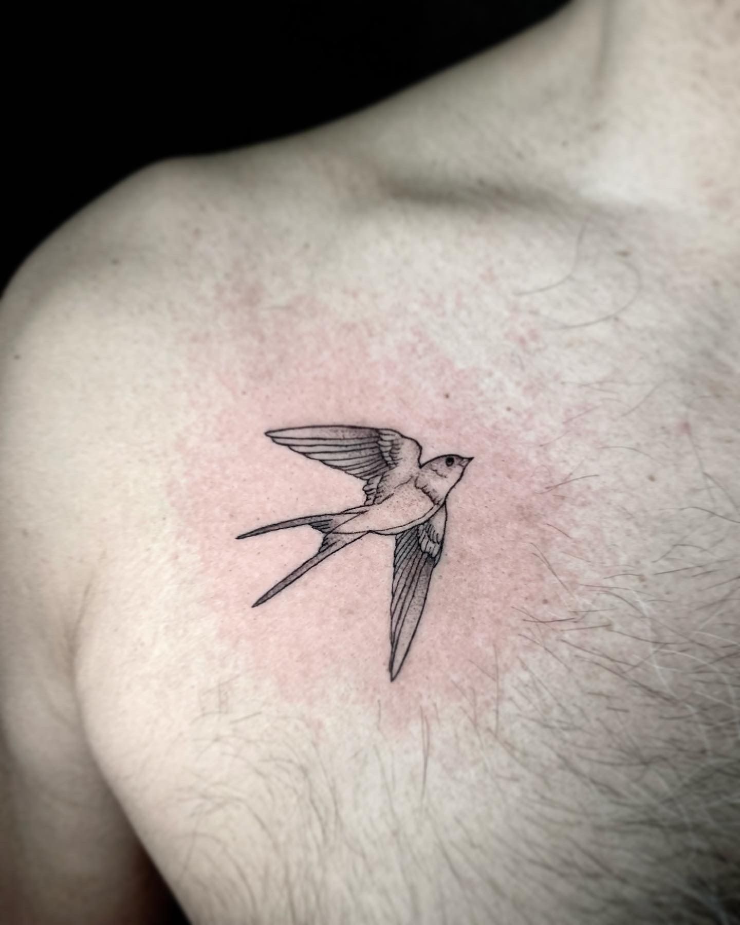 Bird Tattoo Meaning and Symbolism [2023 Inspiration Guide]