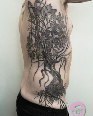 Gifford Kasen's stunning black-and-gray blackwork tattoo combines delicate flowers with intricate roots for a striking design on the ribs.