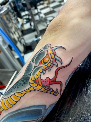 Elegant and bold design by Adam Ruff blending traditional and neo-traditional styles on the forearm.