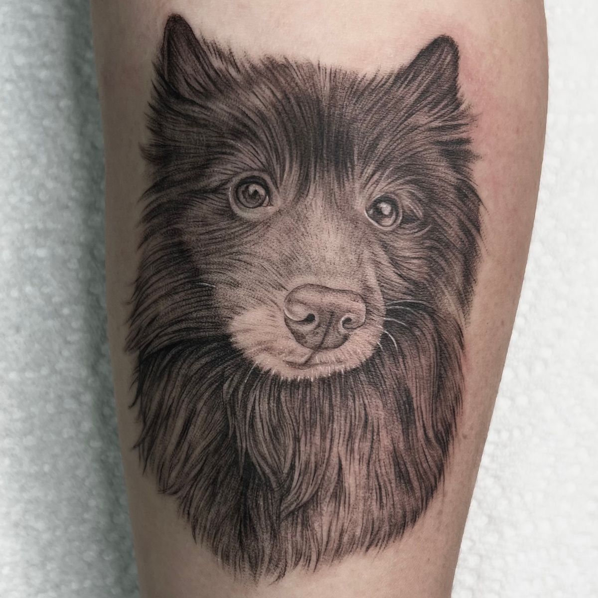 Tattoo Uploaded By Abby Consylman Dog Portrait Tattoodo tattoo-uploaded-by-abby-consylman-dog-portrait-tattoodo