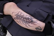 Centipede