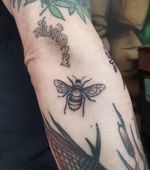 Black and grey bee gap filler