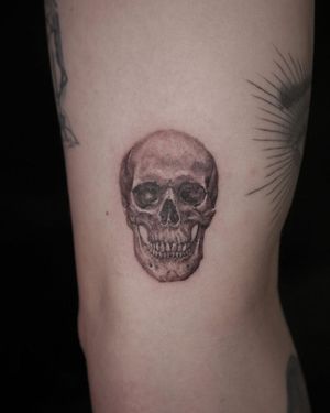 Stunning black and gray micro realism skull tattoo on the arm by the talented artist Alexander Rufio. A hauntingly beautiful piece with intricate details.