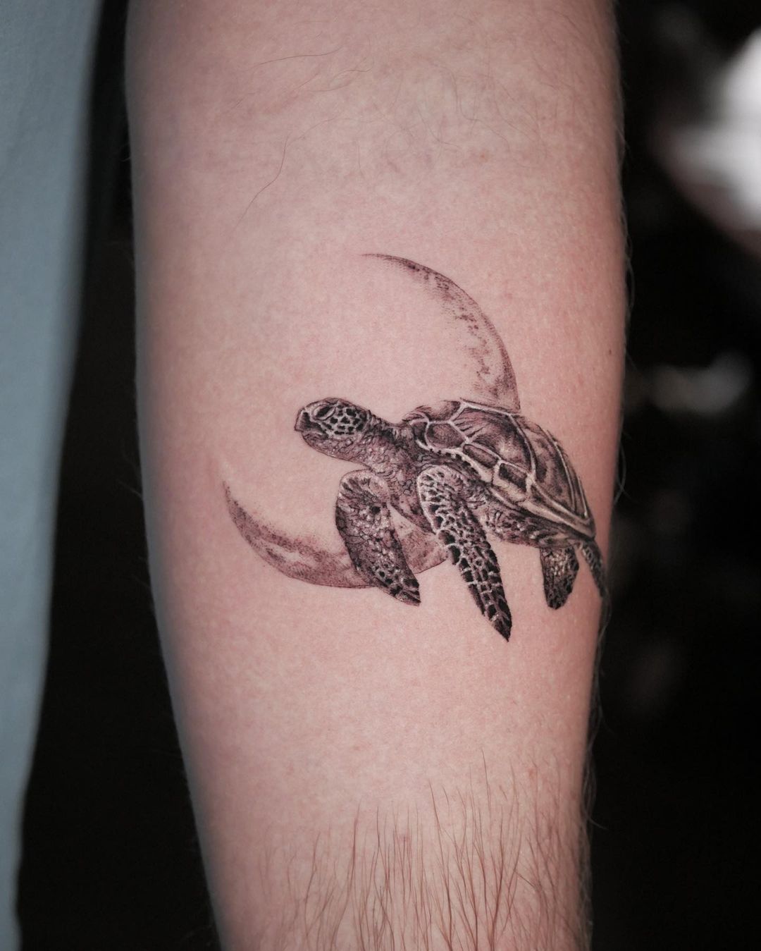 Turtle tattoo by Daniel Berdiel  Photo 27380