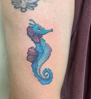 Cavalo marinho  Seahorse tattoo, Seahorse drawing, Animal drawings