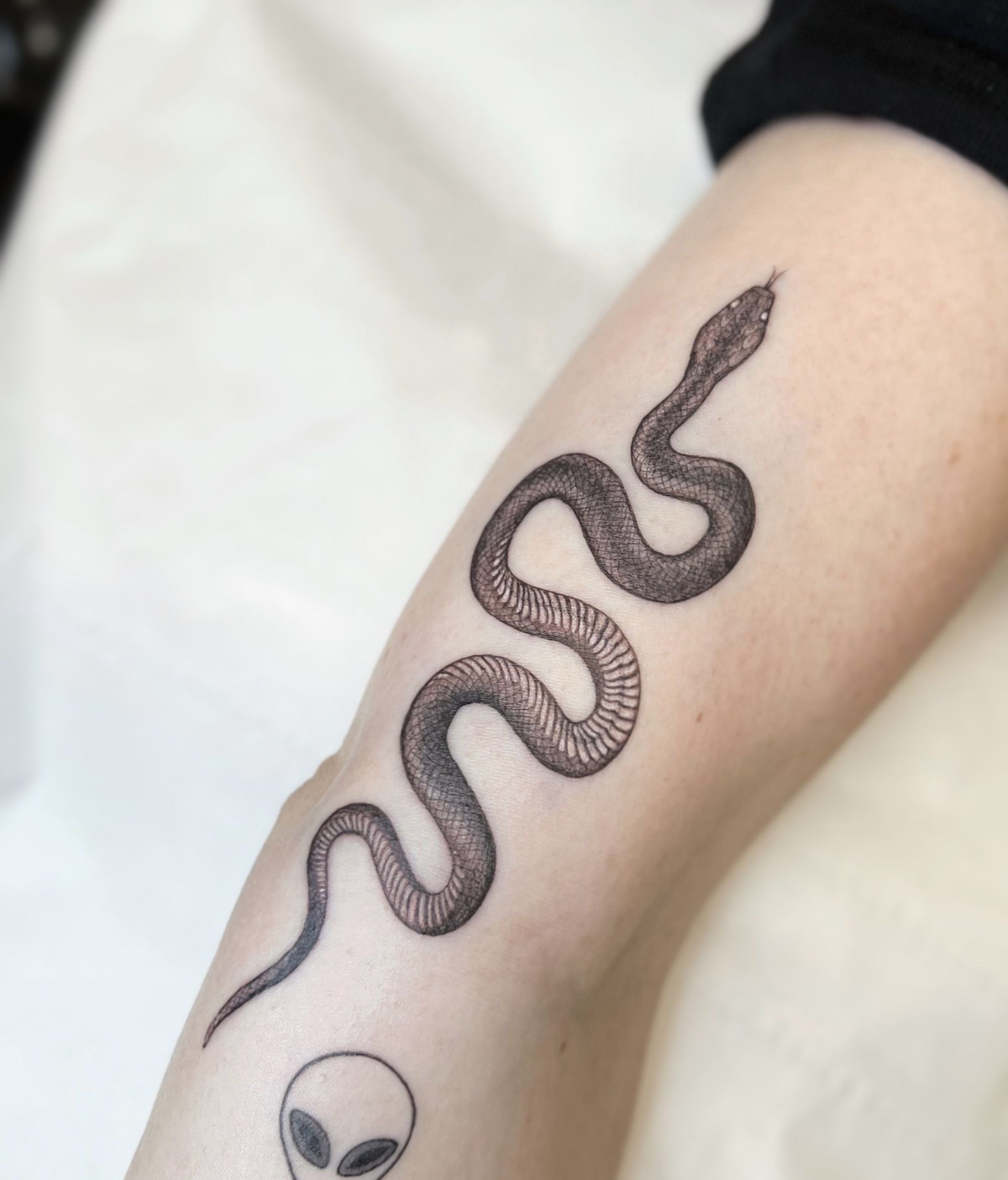 Tiny Snake Temporary Tattoo - Set of 3 – Little Tattoos