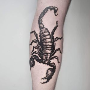 Get inked by Rachel Aspe at Bellatrix Tattoo with a stunning black and gray scorpion design on your lower leg.