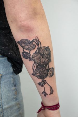 Beautiful black and gray floral design by Gifford Kasen, perfect for showcasing on your forearm.