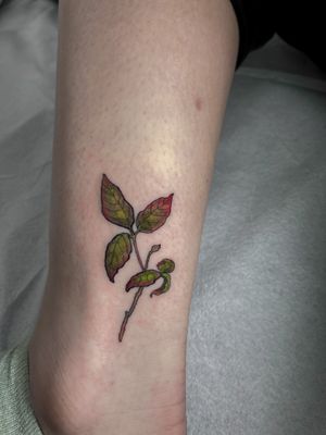 Beautifully detailed leaf design by Gifford Kasen, perfect for nature lovers and tattoo enthusiasts alike.