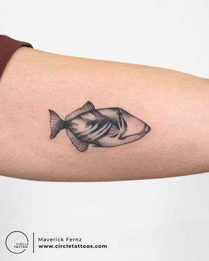 Custom Fish Tattoo done by Maverick Fernz at Circle Tattoo India