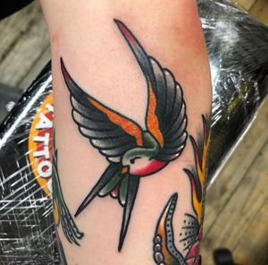 Get a stunning traditional bird tattoo on your arm by the talented artist Carlos Zucato. This timeless design will surely stand out.