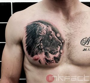 Lion chest cover up 