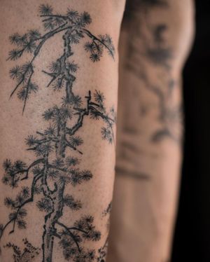 Illustrative design of a Japanese-style tree in bold blackwork on lower leg by FKM TATTOO.